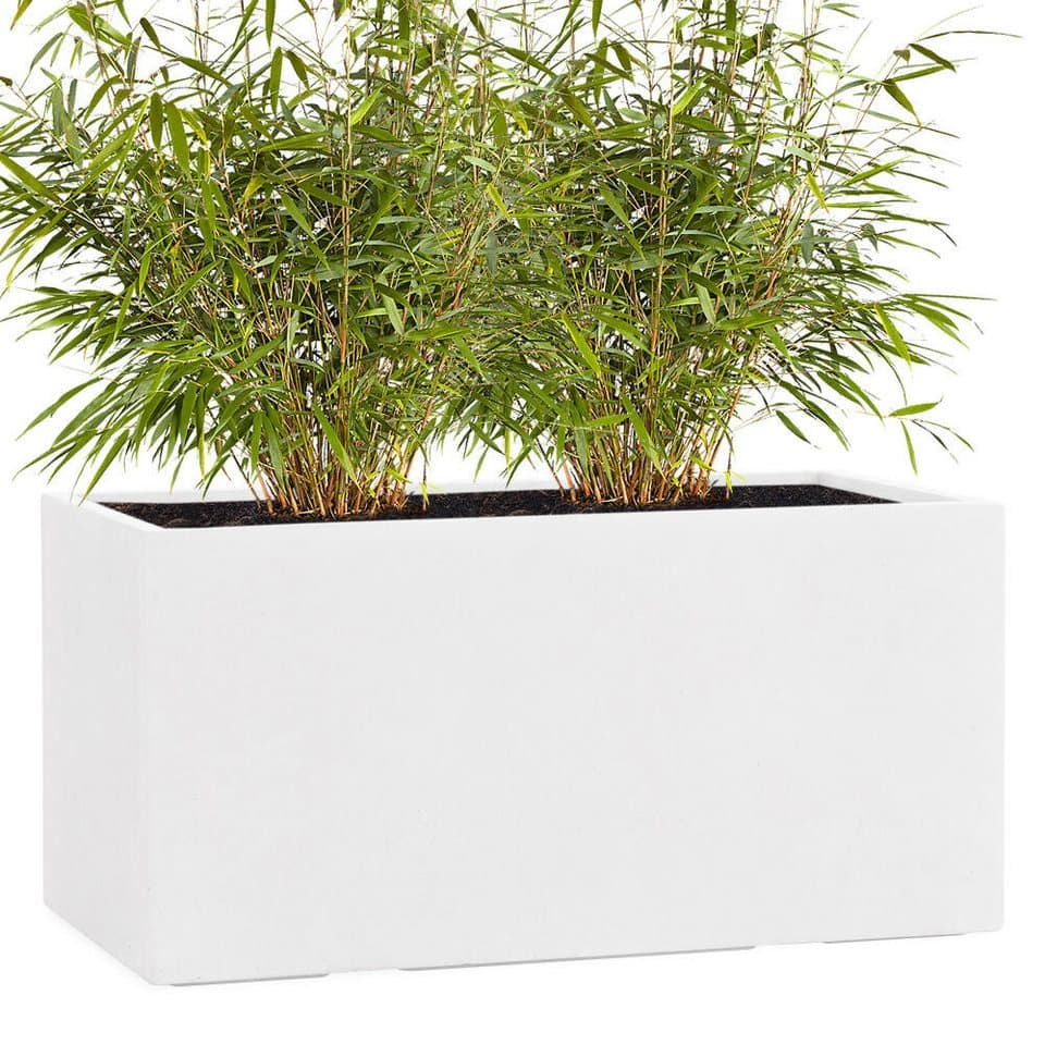 Pflanzwerk® Pflanzkübel TUB Premium, Rechteckig, Frostbeständig mit Lotus-Effekt